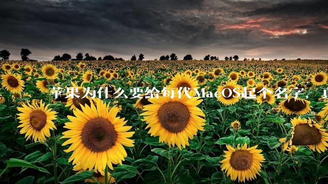 苹果为什么要给每代MacOS起个名字,真以为人们记得住分得清吗?