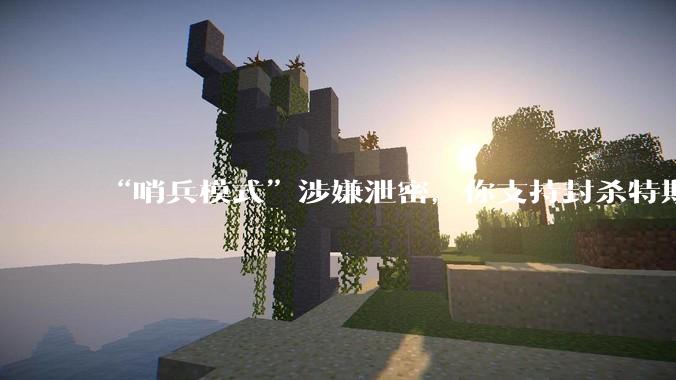 “哨兵模式”涉嫌泄密,你支持封杀特斯拉吗?