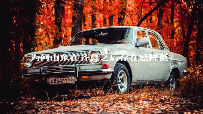 为何山东在齐鲁之后存在感降低?