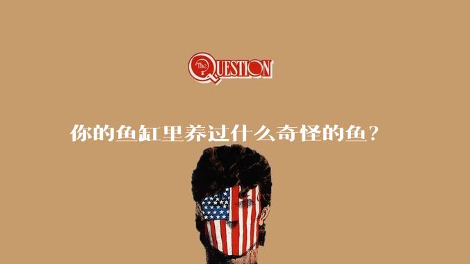 你的鱼缸里养过什么奇怪的鱼?