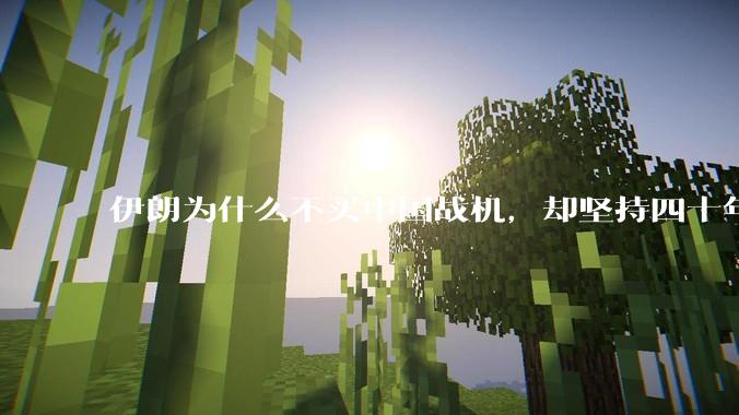 伊朗为什么不买中国战机,却坚持四十年用老旧的苏联米格29、美国F14雄猫战斗机?
