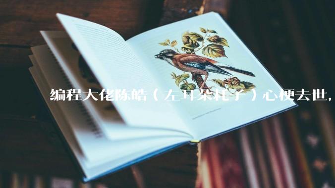 编程大佬陈皓(左耳朵耗子)心梗去世,你对他有哪些记忆?