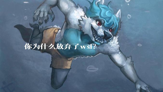 你为什么放弃了wsl?